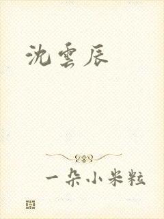 沈云辰