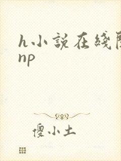 h小说在线阅读np