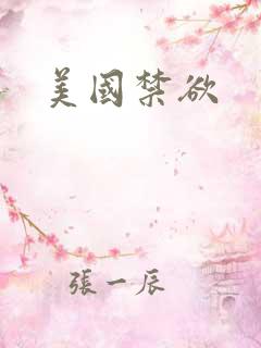 美国禁欲