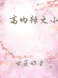 高肉辣文小说