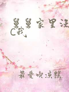 舅舅家里没人快C我