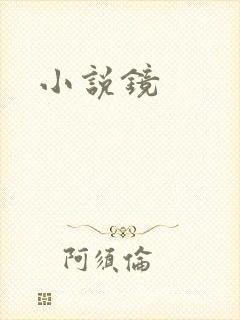 小说镜