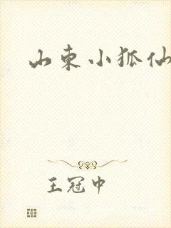 山东小狐仙