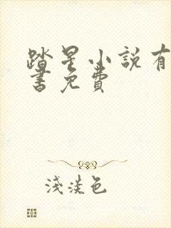 踏星小说有声听书免费
