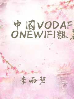 中国VODAFONEWIFI粗暴APP