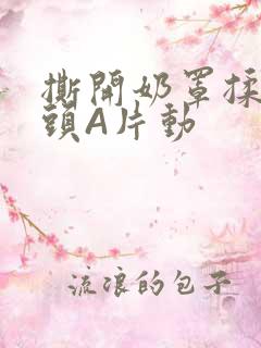 撕开奶罩揉吮奶头A片动