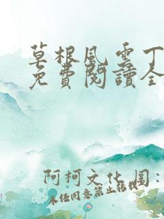 草根风云丁长生免费阅读全本