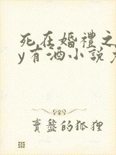 死在婚礼之前by有酒小说免费阅读