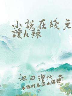 小说在线免费阅读h辣