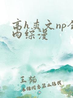 高h爽文np全肉综漫