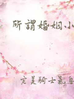 所谓婚姻小说