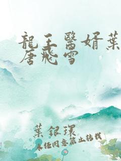 龙王医婿叶不凡唐飞雪