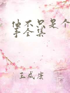 他不只是个狙击手全集