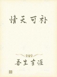 情天可补