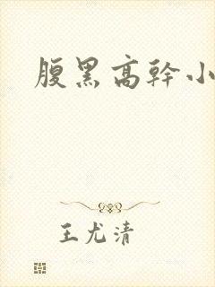 腹黑高干小说