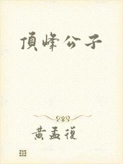 顶峰公子