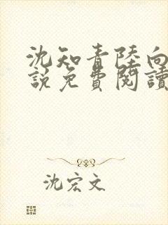 沈知青陆向北小说免费阅读