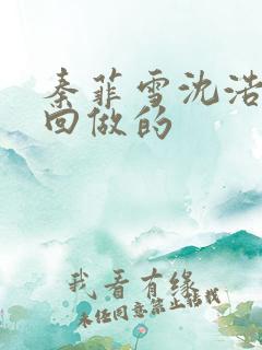 秦菲雪沈浩第几回做的