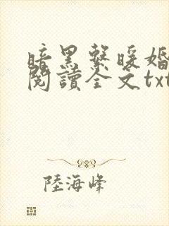 暗黑系暖婚免费阅读全文txt
