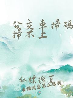 公交车扫码老是扫不上