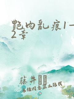 艳肉乱痕1—12章