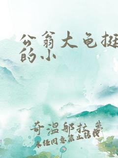 公翁大龟挺进我的小