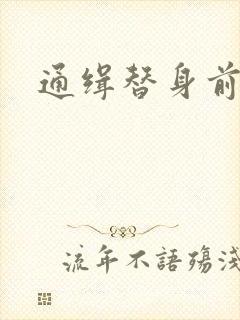 通缉替身前妻