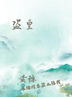 盗皇