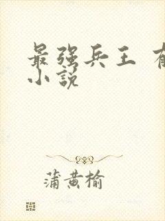 最强兵王 有声小说