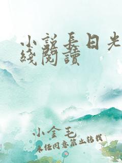小说长日光阴在线阅读