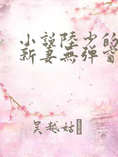 小说陆少的暖婚新妻无弹窗