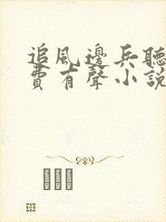 追风边兵听书免费有声小说