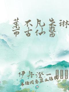 叶不凡朱琳琳都市古仙医
