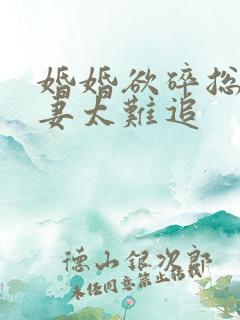 婚婚欲碎总裁前妻太难追