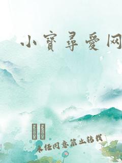 小宝寻爱网址