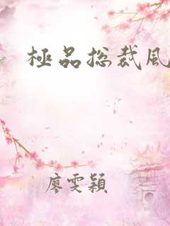 极品总裁风流录