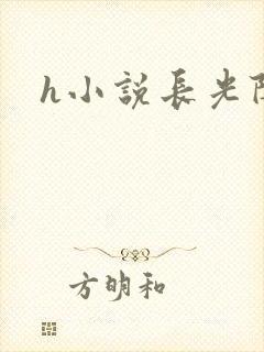 h小说长光阴