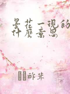 昙花一现的现是什么意思