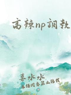 高辣np调教