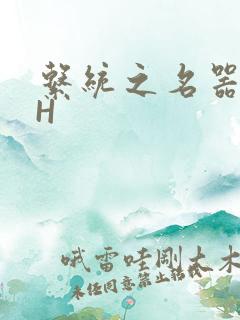 系统之名器勾男H