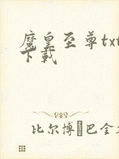 魔皇至尊txt下载