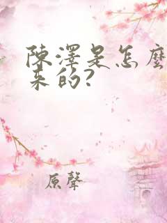 陈泽是怎么火起来的?