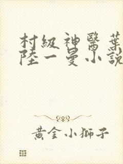 村级神医叶风云陆一曼小说免费阅读