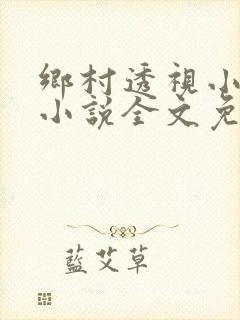 乡村透视小仙医小说全文免费阅读