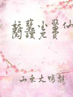 妖孽小医仙全文阅读免费