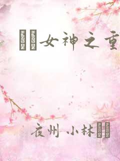 鹡鸰女神之重生