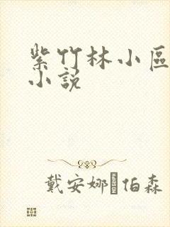紫竹林小区快递小说