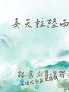 秦天柱陆雨琪
