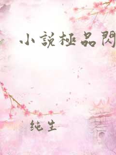 小说极品闪婚