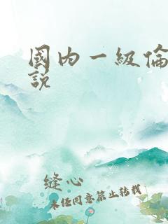 国内一级伦乱小说